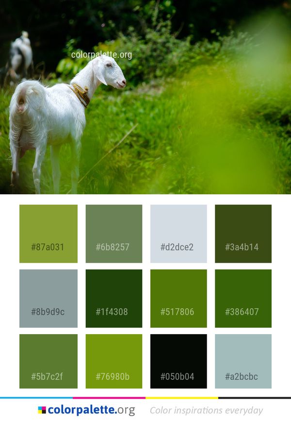 Green Grassland Goats Color Palette