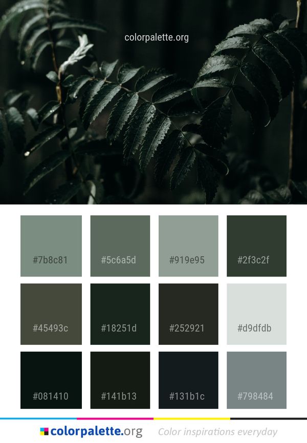 Leaf Darkness Close Up Color Palette