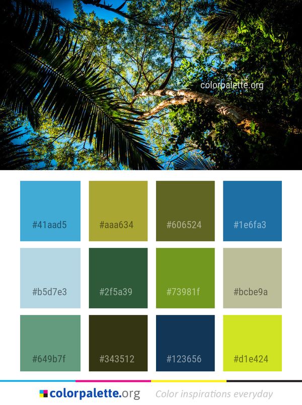 Nature Vegetation Tree Color Palette