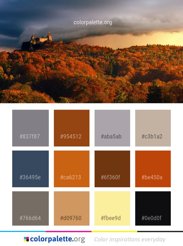 Sky Leaf Cloud Color Palette