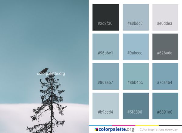 Sky Snow Tree Color Palette
