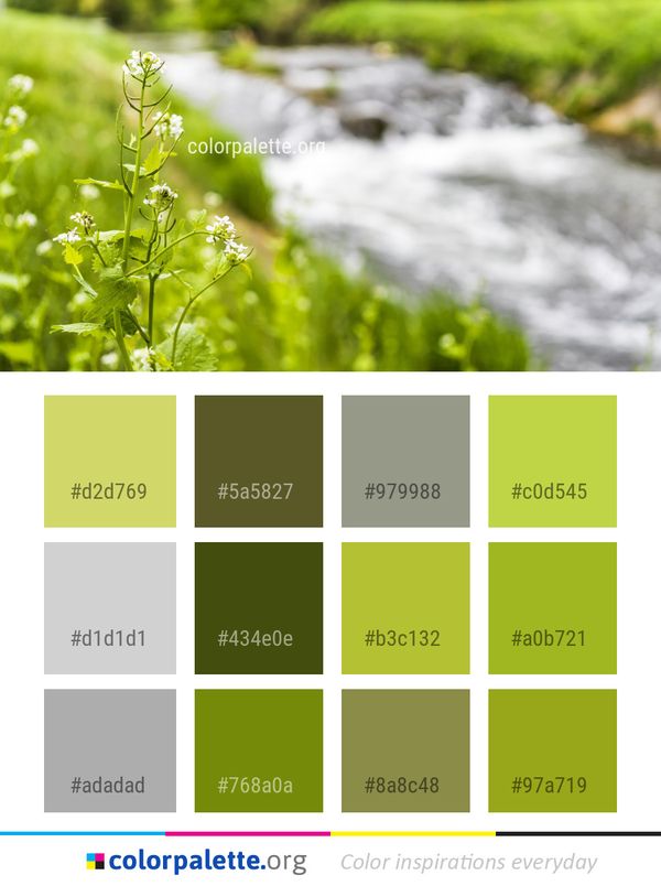Water Green Vegetation Color Palette
