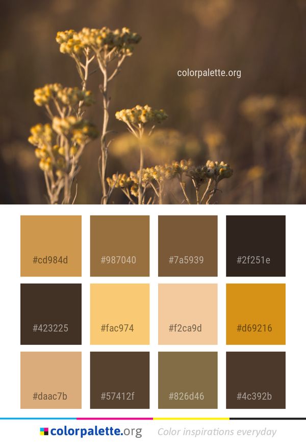 Yellow Flora Flower Color Palette