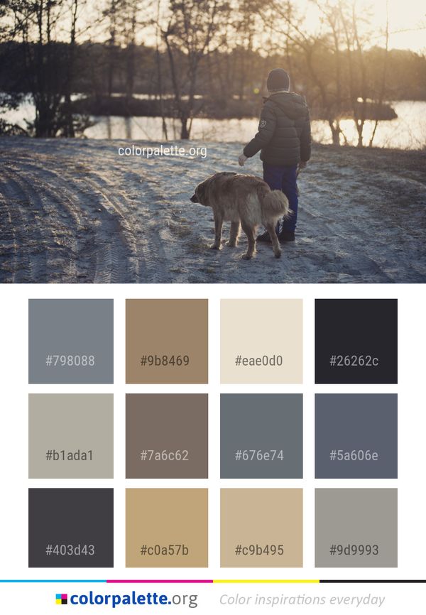 Dog Photograph Like Mammal Color Palette