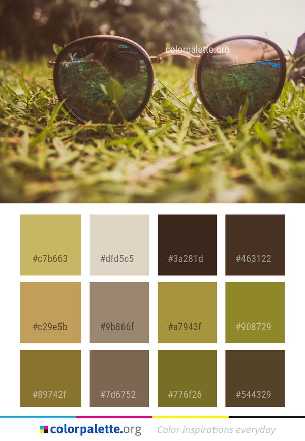 Eyewear Sunglasses Grass Color Palette