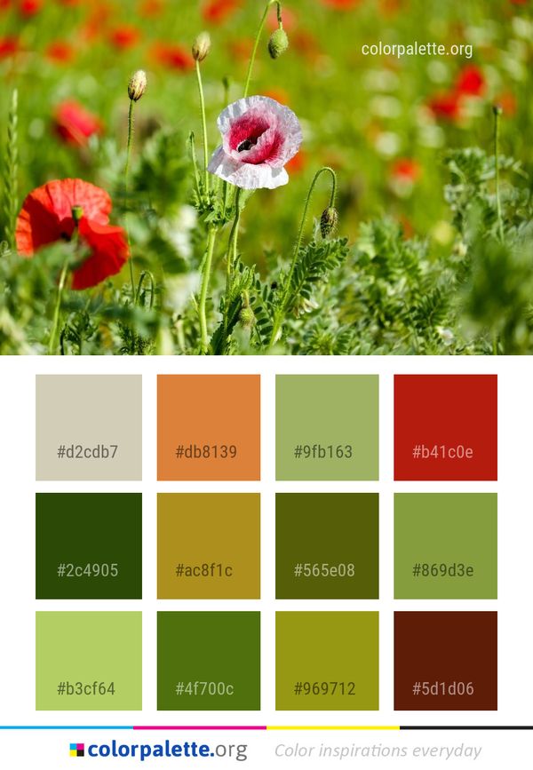 Flower Poppy Meadow Color Palette
