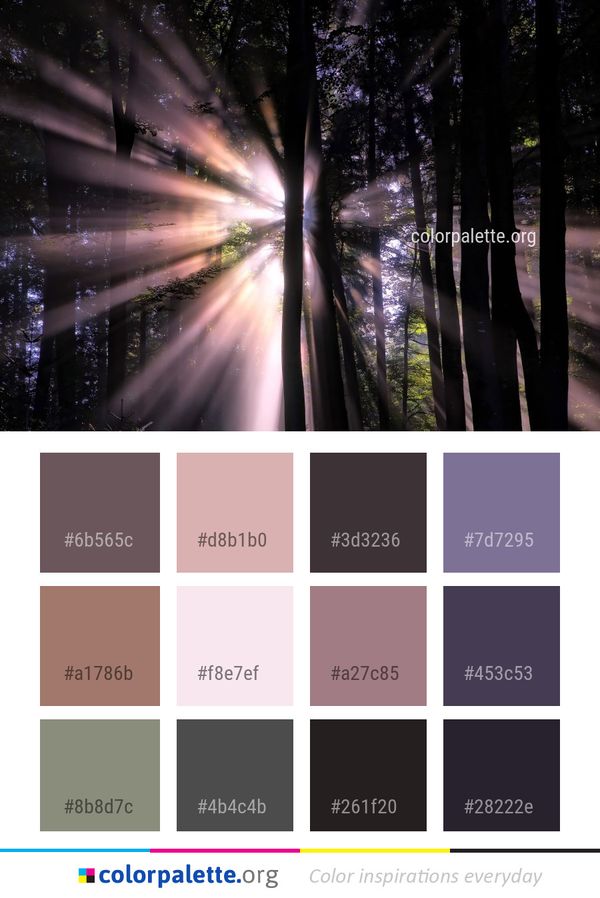 Nature Tree Atmosphere Color Palette