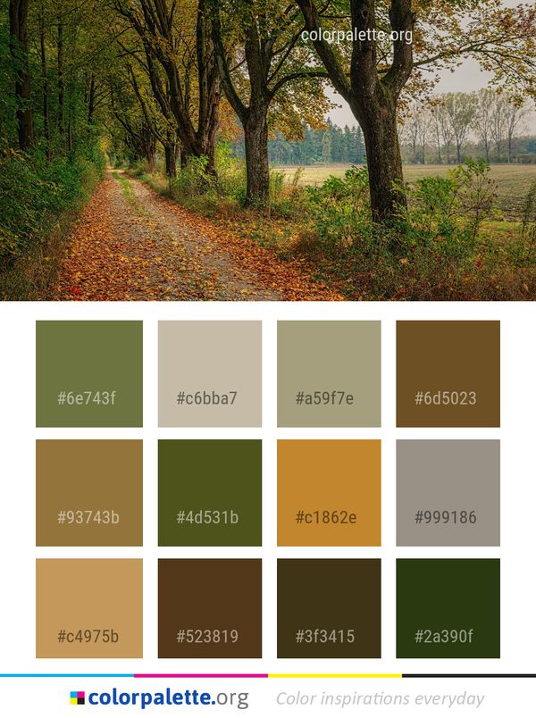 Nature Woodland Tree Color Palette