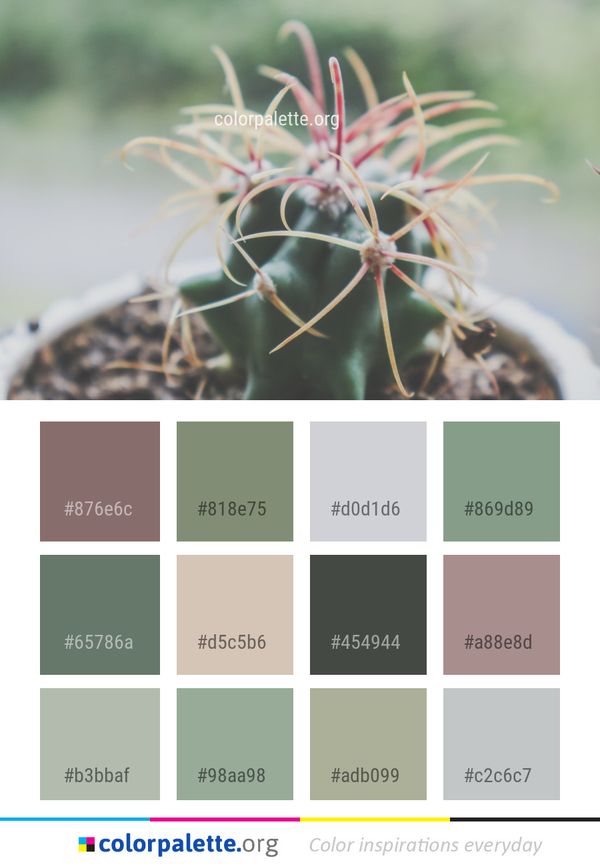 Plant Flora Flowering Color Palette