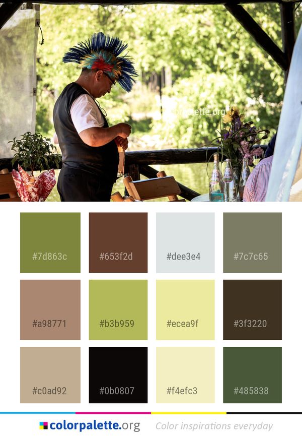 Plant Tree Recreation Color Palette