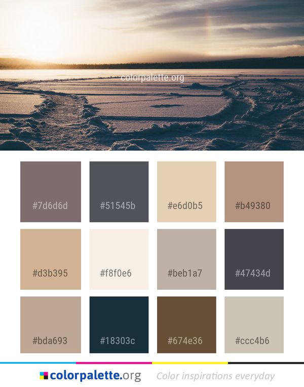 Sky Horizon Snow Color Palette