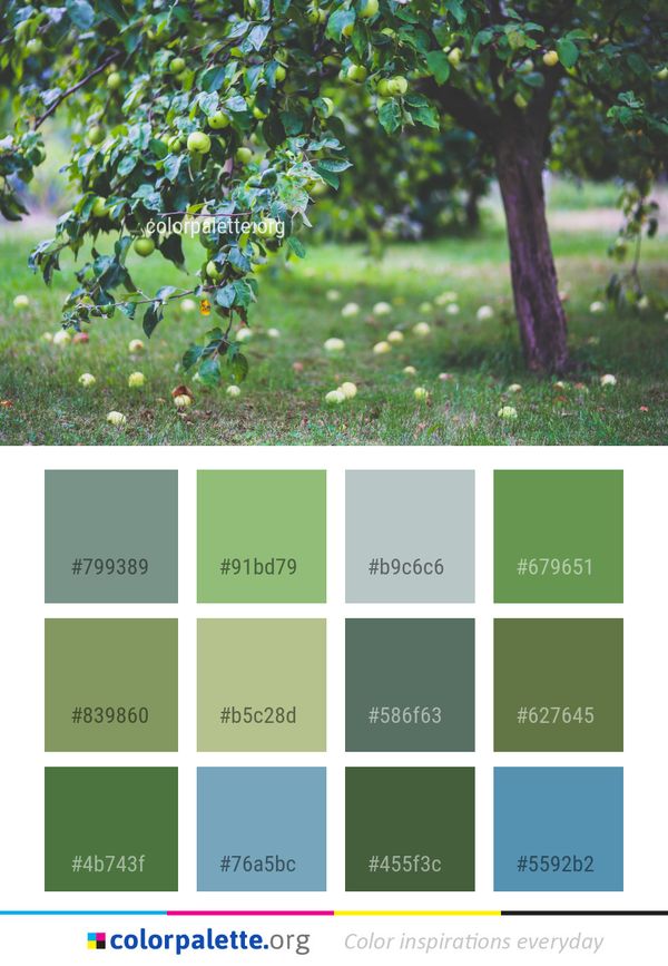 Tree Leaf Branch Color Palette