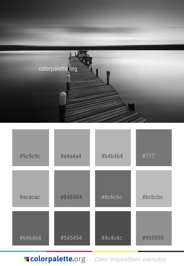 Black And White Reflection Horizon Color Palette