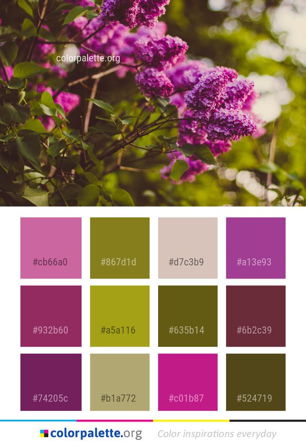 Flower Pink Flora Color Palette