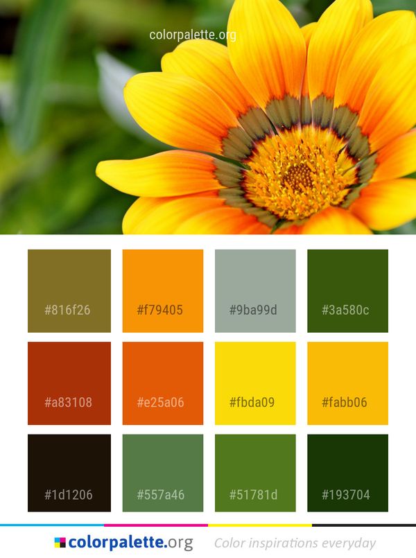 Flower Yellow Flora Color Palette