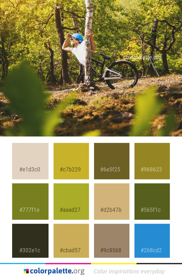 Land Vehicle Tree Woodland Color Palette