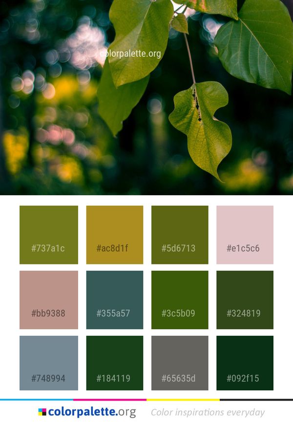 Leaf Green Light Color Palette