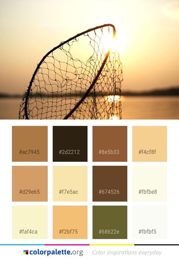 Light Wire Fencing Sun Color Palette