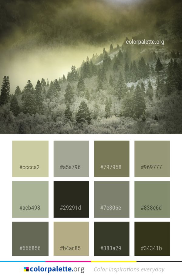 Nature Sky Ecosystem Color Palette