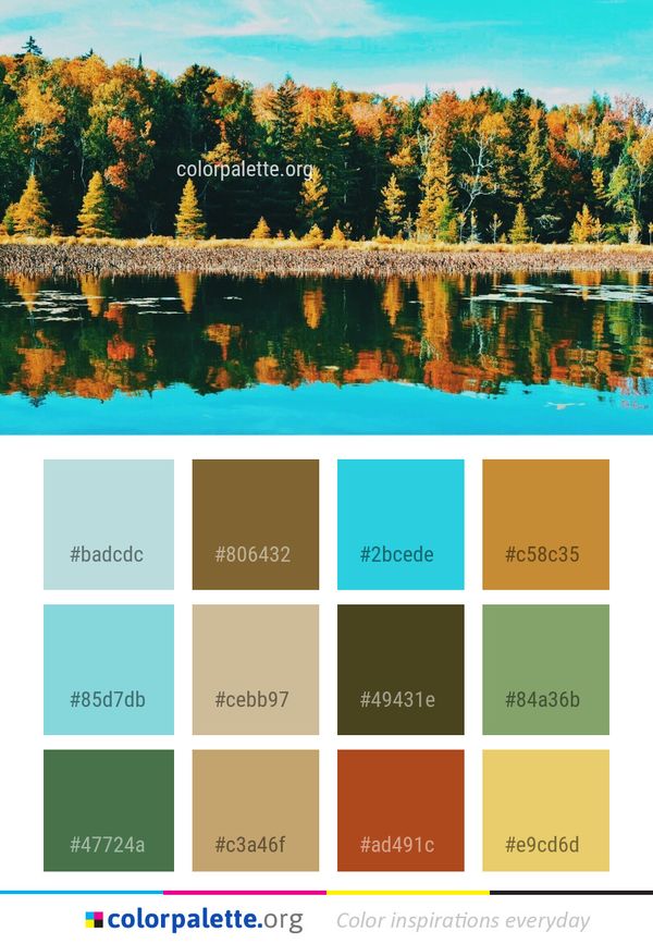 Reflection Nature Water Color Palette