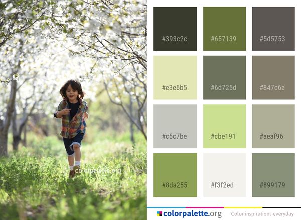 Tree Nature Photograph Color Palette
