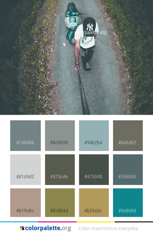 Water Green Tree Color Palette