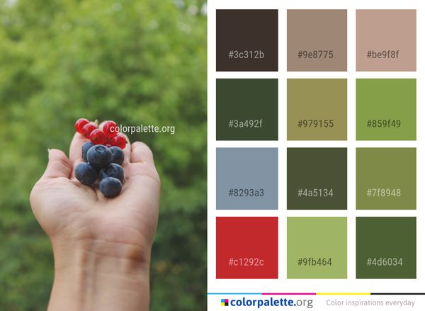 Berry Fruit Hand Color Palette