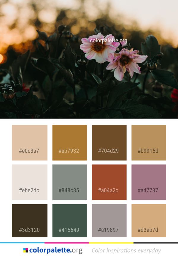 Flower Plant Pink Color Palette