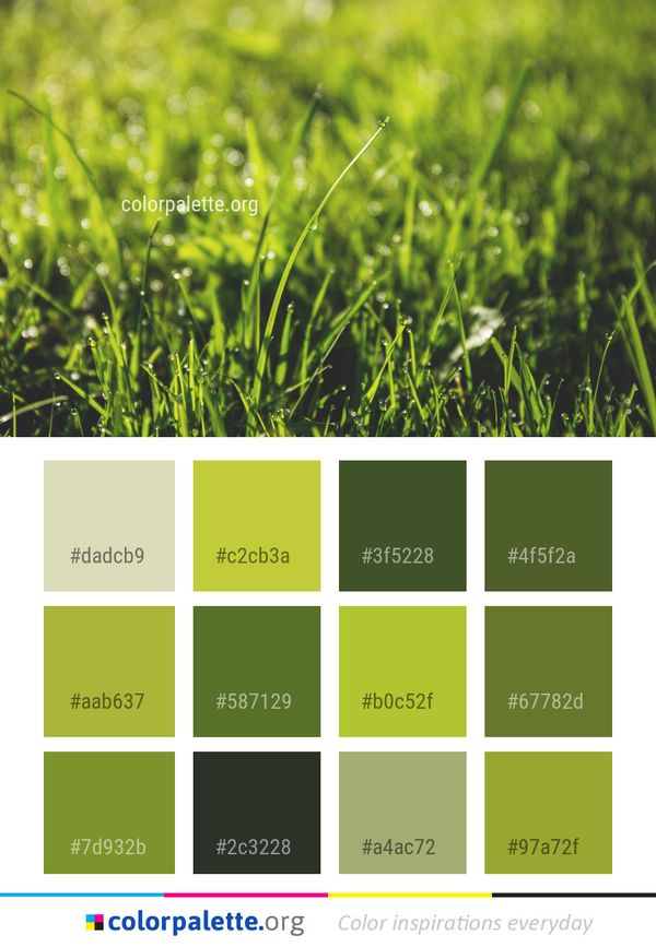 Green Grass Vegetation Color Palette