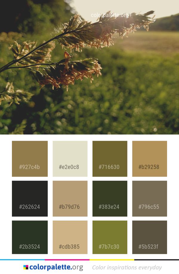 Leaf Vegetation Grass Color Palette