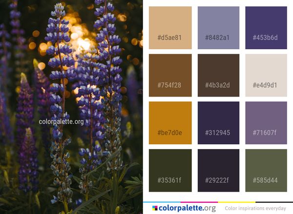 Plant Blue Flower Color Palette