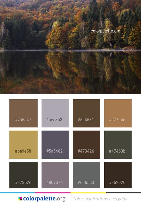 Reflection Nature Water Color Palette