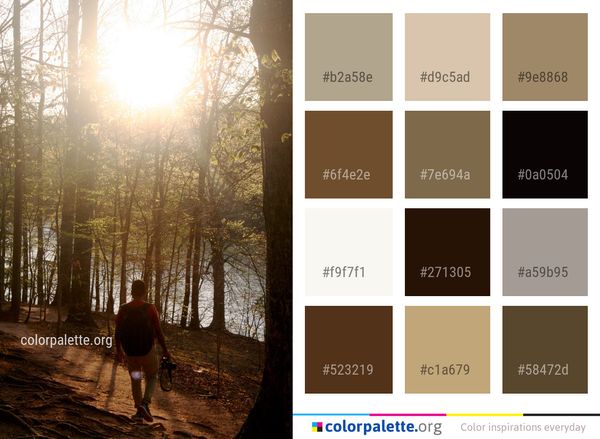 Tree Nature Forest Color Palette