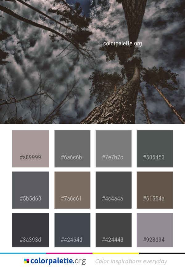 Tree Sky Branch Color Palette