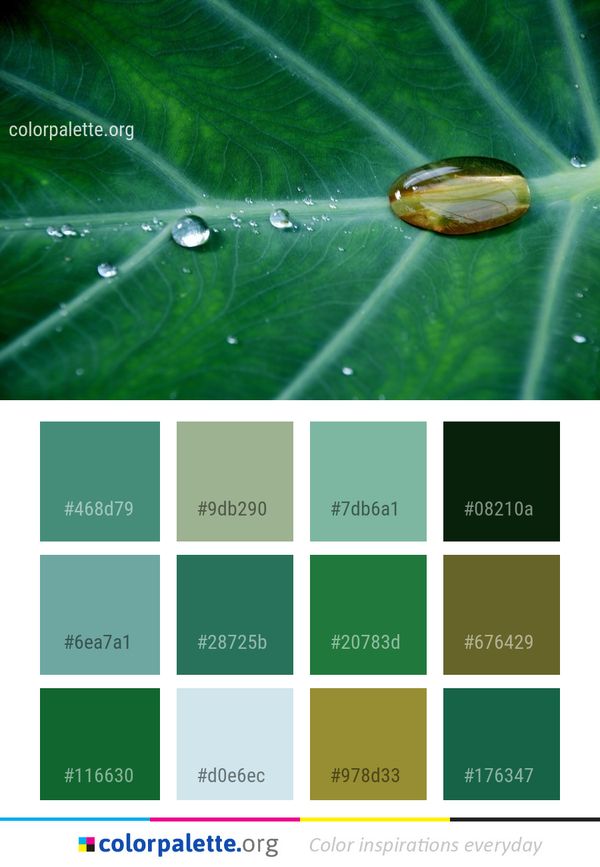 Water Dew Drop Color Palette