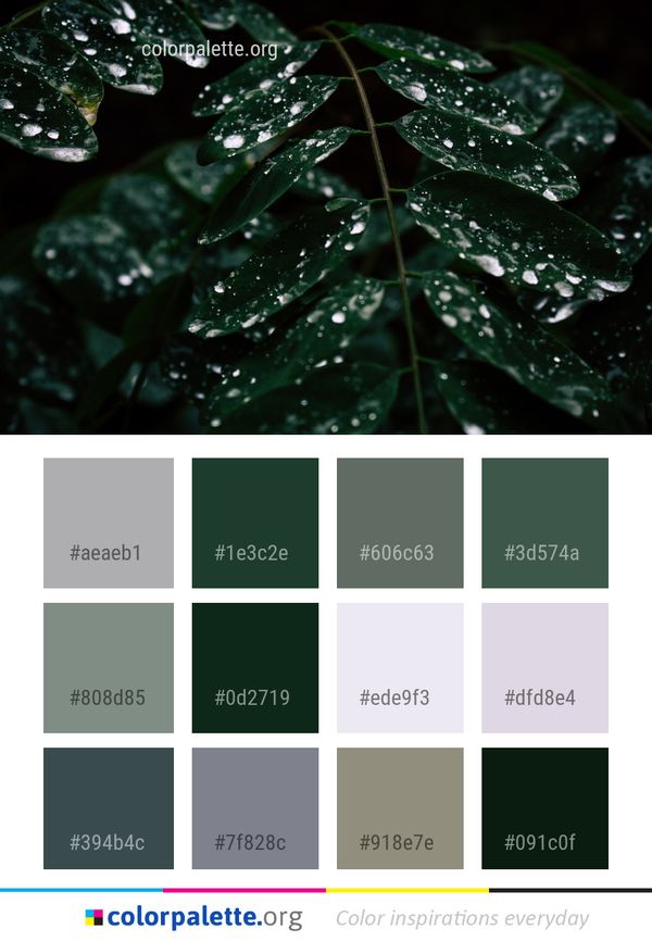 Water Leaf Green Color Palette