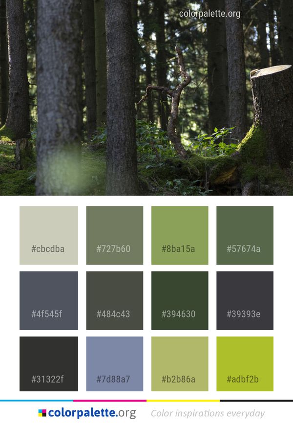 Woodland Forest Nature Color Palette