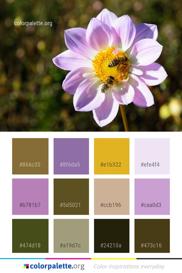 Flower Flora Nectar Color Palette