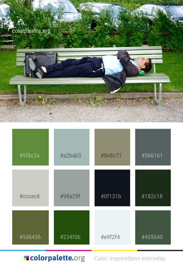 Furniture Bench Plant Color Palette