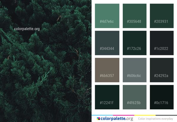 Green Vegetation Ecosystem Color Palette