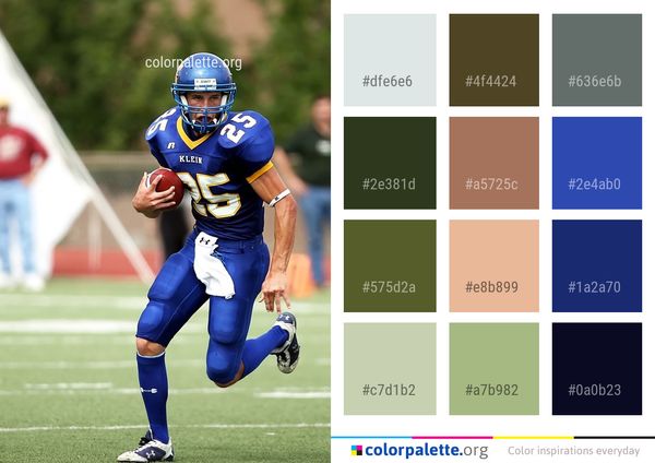 Gridiron Football American Team Sport Color Palette