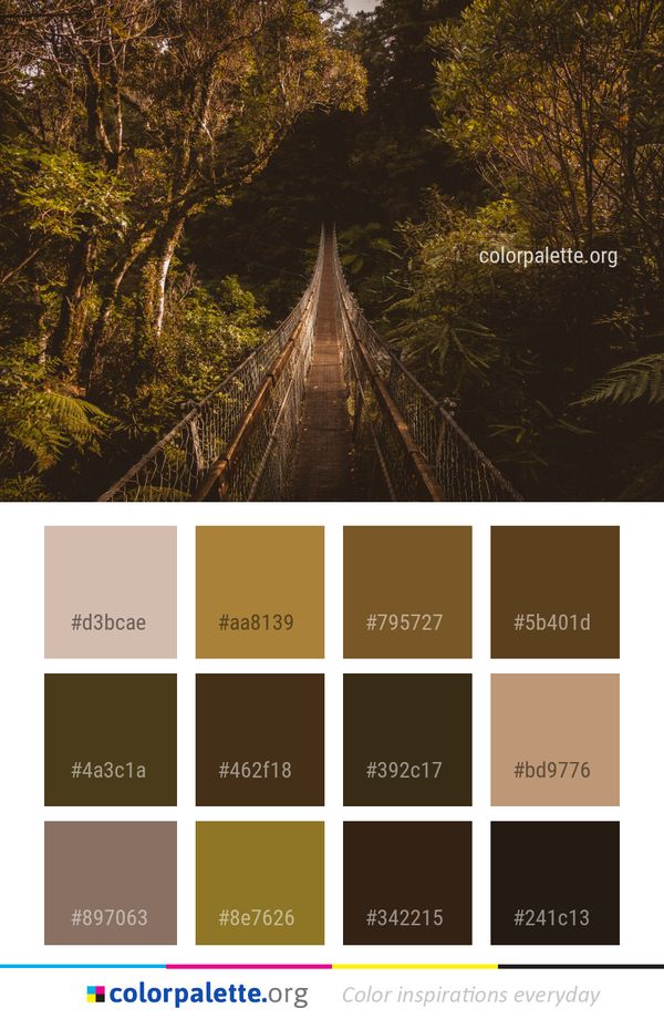 Nature Leaf Tree Color Palette