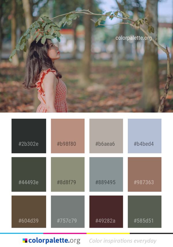Nature Tree Woody Plant Color Palette