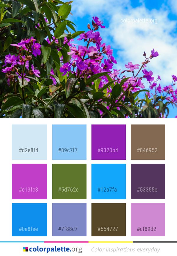 Plant Flower Flora Color Palette
