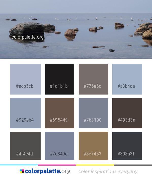 Rock Sea Shore Color Palette