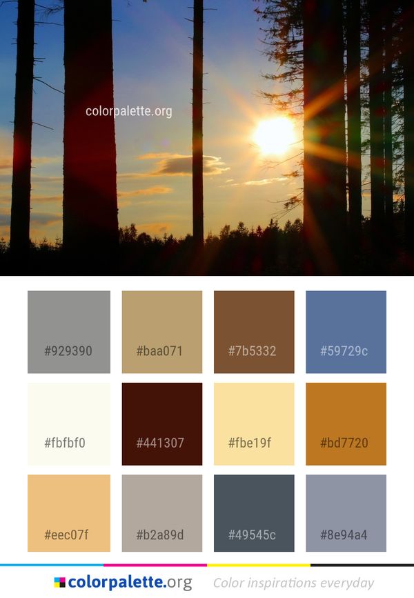 Sky Sunrise Sunset Color Palette