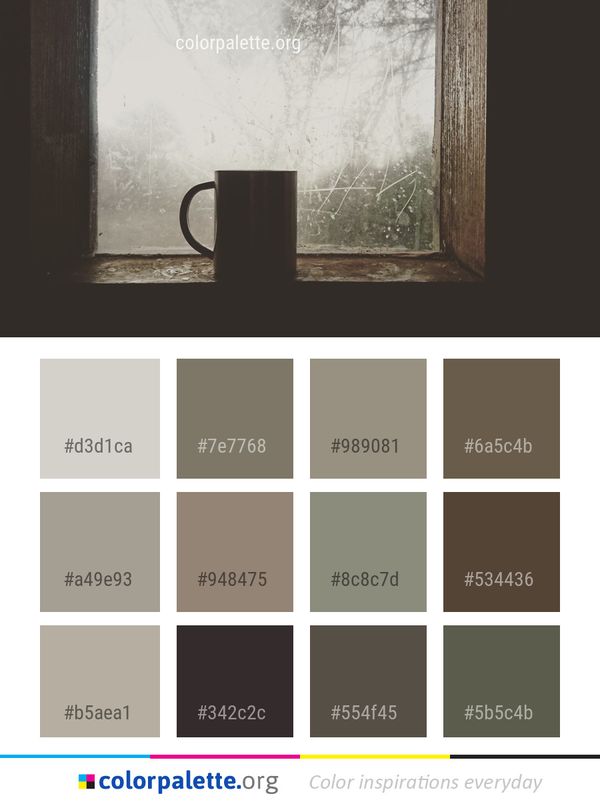 Still Life Photography Wall Color Palette