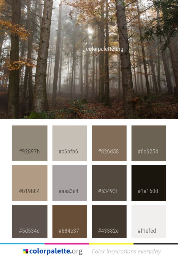 Woodland Forest Ecosystem Color Palette