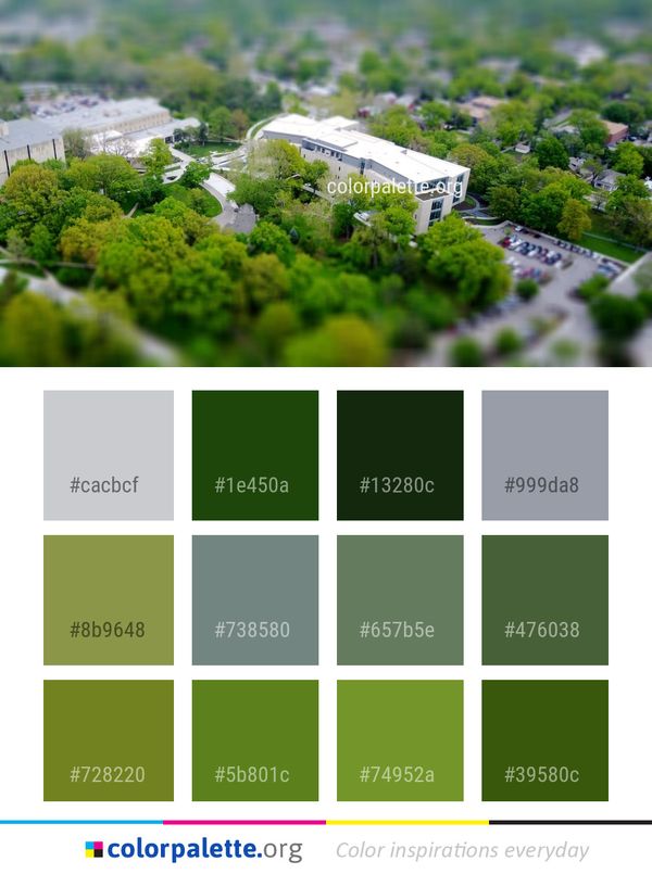 Bird's Eye View Residential Area Suburb Color Palette