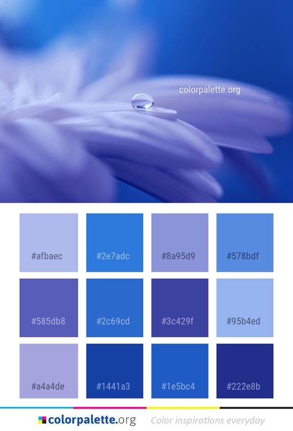 Blue Drop Water Color Palette